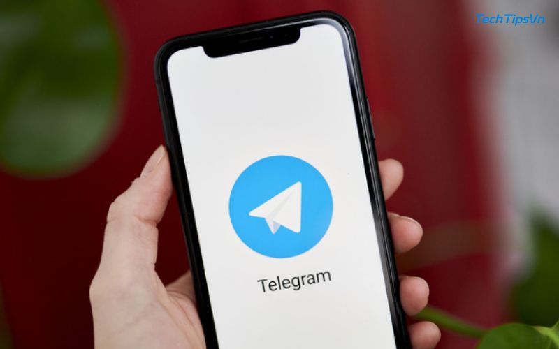 Cách chia sẻ vị trí trực tiếp trên Telegram đơn giản nhất Cách bật vị trí trực tiếp trên Telegram của iOS