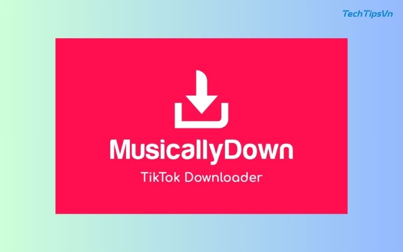 Cách xóa logo TikTok khỏi video nhanh, dễ và không mất phí Cách xóa logo TikTok bằng website MusicallyDown