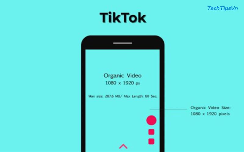 Hướng dẫn đầy đủ về kích thước video TikTok cho người mới Kích thước video trên TikTok phải đúng chuẩn theo quy định