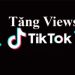 Cách tăng view Tiktok nhanh chóng và hiệu quả nhất hiện nay