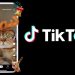Hướng dẫn tải và cài đặt phiên bản Tiktok Lite ít dung lượng