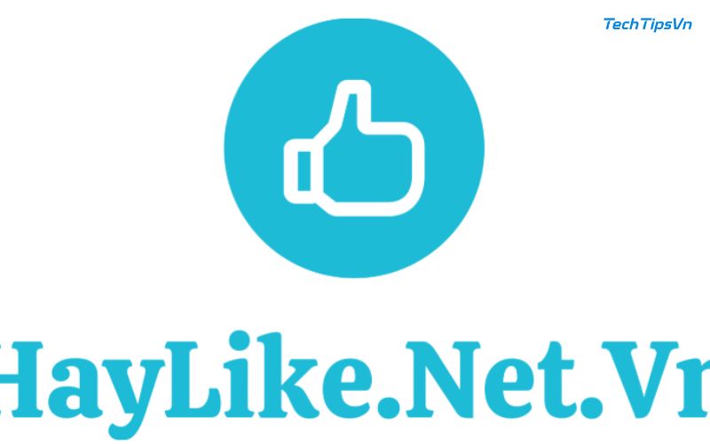 Bỏ túi top 5 web tăng tim tiktok miễn phí uy tín nhất 2025 Haylike.net là một lựa chọn tuyệt vời nếu bạn muốn tăng tim TikTok miễn phí